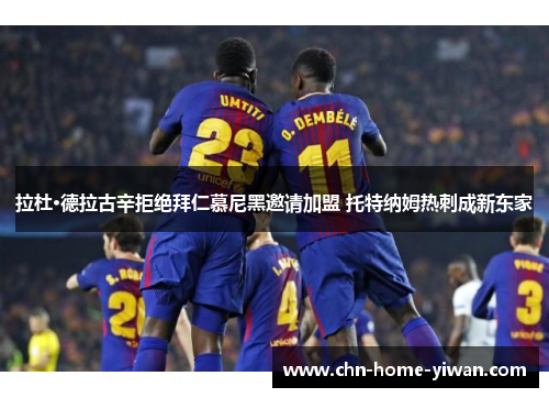 拉杜·德拉古辛拒绝拜仁慕尼黑邀请加盟 托特纳姆热刺成新东家