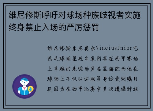 维尼修斯呼吁对球场种族歧视者实施终身禁止入场的严厉惩罚